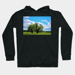 Country Scenery Hoodie